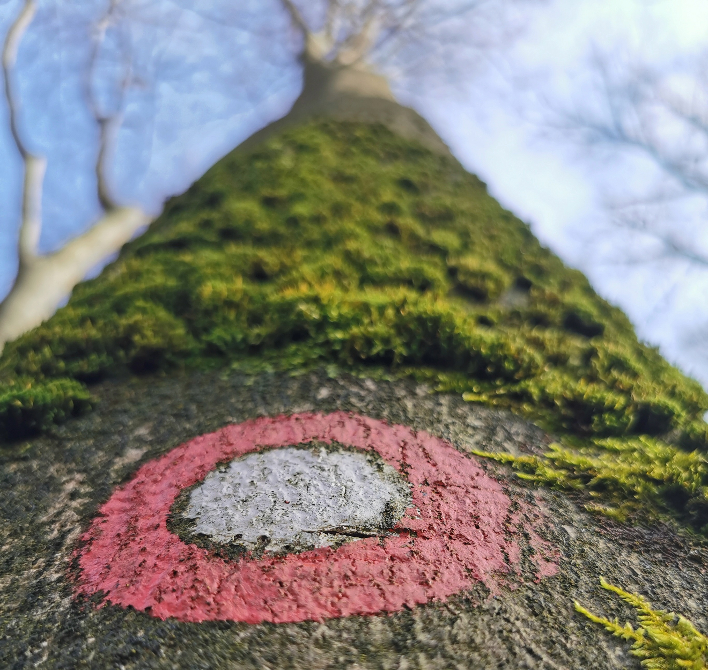 Ambient psihološkega svetovanja